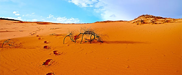 Five Fastest-Growing Deserts in the World